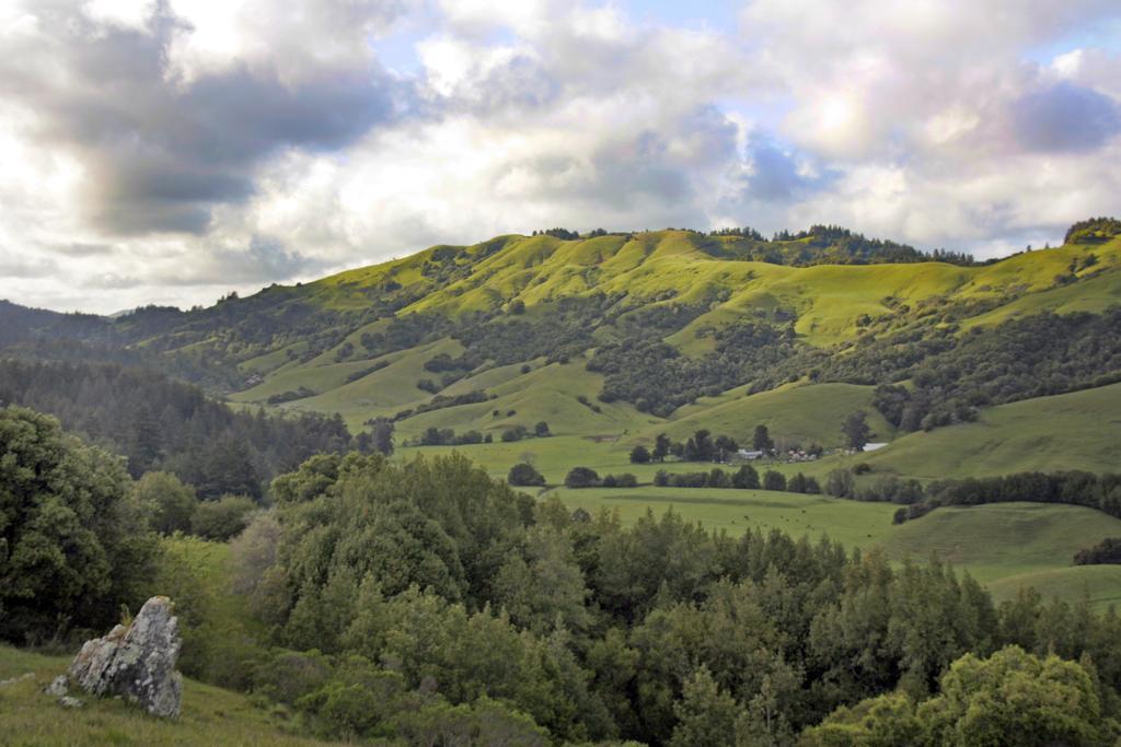 San Anselmo Inn Exteriör bild